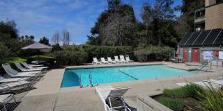 Prime Central Location / Available NOW!!! Prime Central Location / Available NOW!!! Gallery 1