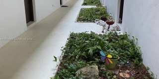 6507 Winfield Blvd Gallery 10