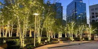 3324 Peachtree Road NE Gallery 35