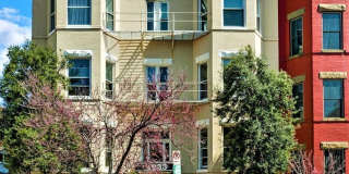 Bright Modern 1 bedroom Condo in DuPont steps to Adams Morgan! Gallery 1