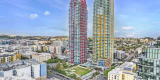 Pinnacle on the Park Gallery 18