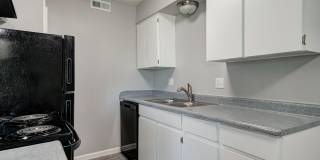 1 Bed 1 Bath Apartment Gallery 15