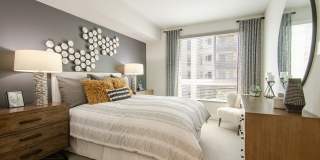 Vive on the Park Gallery 6