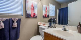 13314 W Mauna Loa Ln Gallery 10