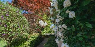 Fabulous spacious home, Great Highlands cul de sac, easy commute, exceptional Cupertino Schools! Fabulous spacious home, Great Highlands cul de sac, easy commute, exceptional Cupertino Schools! Gallery 25