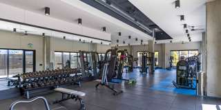 The Emery Gallery 82