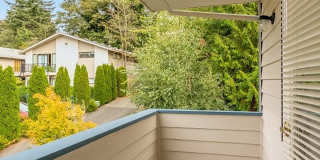 Shorecrest Apartments Gallery 6