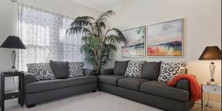 81600 Macbeth Street Gallery 10