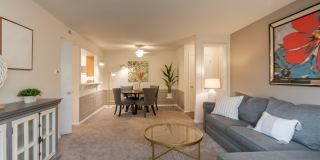 Village East Gallery 19