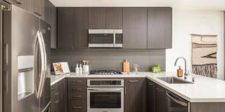 The Merian Gallery 29