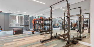 Legacy at Fitz Gallery 19