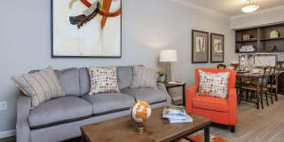 Ariza Temple Gallery 14