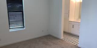 345 Crate Ave # 41 Gallery 11