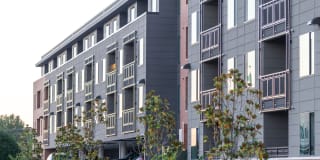 The Preserve Scott's Addition Gallery 31