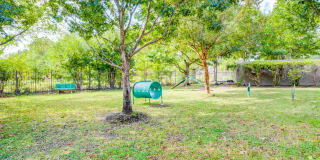 Waterford Place at Riata Ranch Apartments Waterford Place at Riata Ranch Apartments Gallery 14