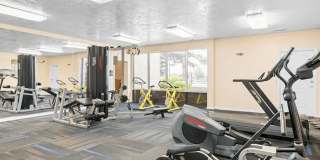 Ashford Apartments Gallery 6