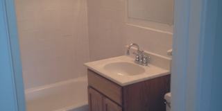 Willows on France Gallery 67