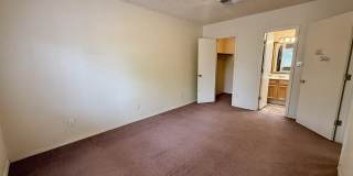 12118 ROYAL WOODS Drive Gallery 12