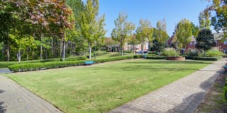 The Residences on McGinnis Ferry Apartments Gallery 32