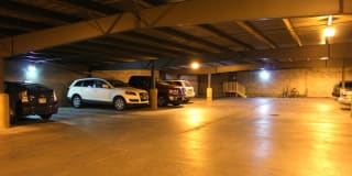 Forest Park Apartments Gallery 9