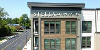 Stella at Five Points Gallery 2