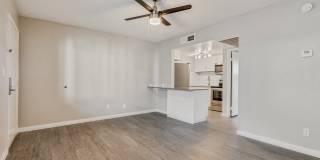 Tides on East Cactus Gallery 3
