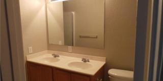 524 Timberhaven Trail Gallery 11