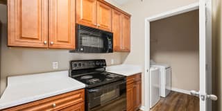 Houston Lake Gallery 20