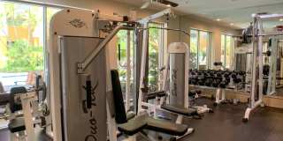 Beautiful large studio unit updated flooring, balcony with a pool view! Gallery 11