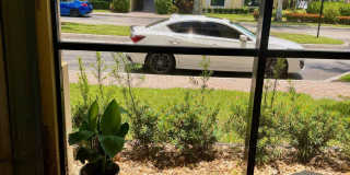 3018 Alcazar Place Gallery 20