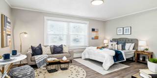 Amazing Remodeled Studio Apartments - Gallery 1