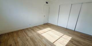537 KOLSON CIR Gallery 7