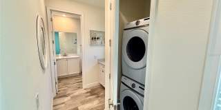 2906 CASTAWAY LANE Gallery 11