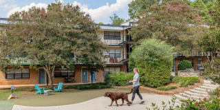 Selwyn Flats Gallery 28