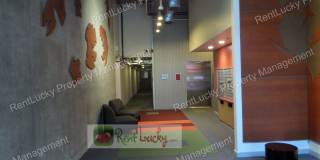 Super Unique & Cool 1-Bedroom Condo in Veer Lofts in South Lake Union! Gallery 19