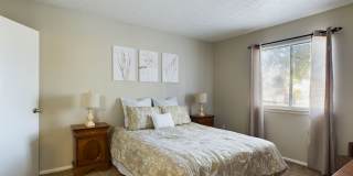 Emerson Village Gallery 41