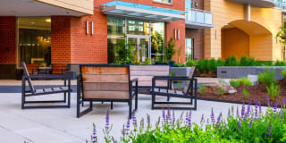 The Clark Gallery 43