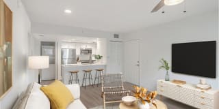 Palm Trace Landings Gallery 75