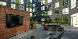 Velo Forest Hills Gallery 5