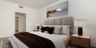 Vineyards Gallery 187