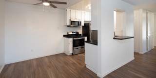 Volterra at La Mesa Gallery 7