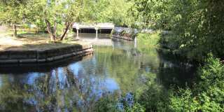Island Park Gallery 12