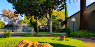 Pine Manor Gallery 3