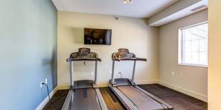 Zen Chaska Zen Chaska Gallery 43