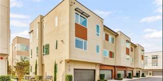 8016 Privet Lane Gallery 11