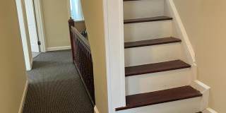 42 HOLLAND Avenue Gallery 25