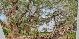 6220 BAYSHORE BOULEVARD Gallery 35
