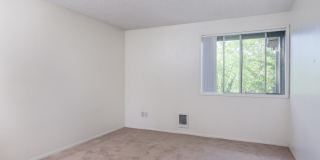 Forest Ridge Gallery 24