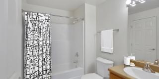 Trocadero Gallery 20