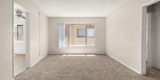 Roxanne Apartments Gallery 15